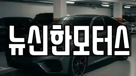 세종특별자치시 소담동 중고차 전문 뉴신한모터스