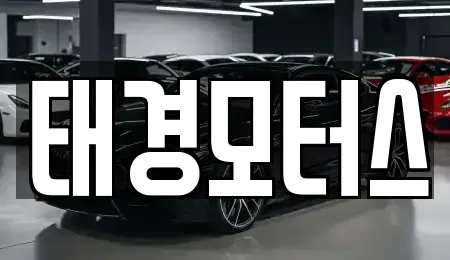 세종특별자치시 소담동 중고차 전문 태경모터스