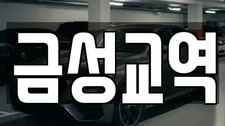 울산 남구 두왕동 렌트카 전문 금성교역