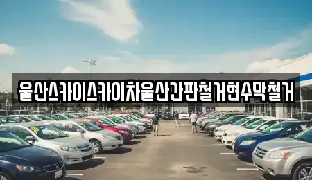 울산 남구 선암동 중고차매입 전문 울산스카이스카이차울산간판철거현수막철거