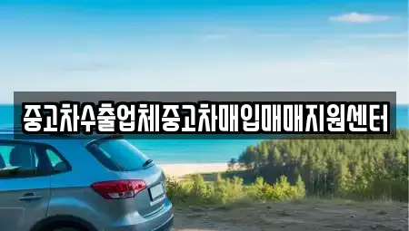 울산 남구 선암동 중고차매입 전문 중고차수출업체중고차매입매매지원센터