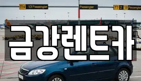 울산 북구 명촌동 렌트카 전문 금강렌트카
