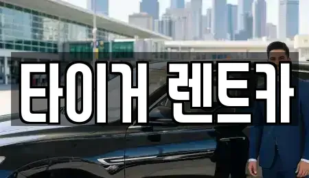 울산 북구 명촌동 렌트카 전문 타이거 렌트카