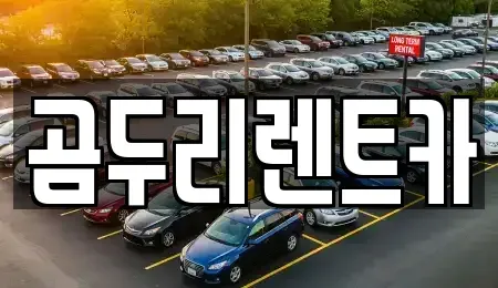 울산광역시 동구 일산동 렌트카 전문 곰두리렌트카