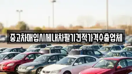 울산광역시 동구 일산동 중고차매입 전문 중고차매입시세내차팔기견적가격수출업체
