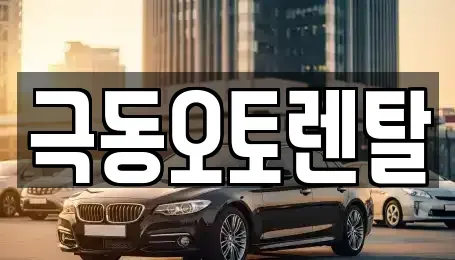 울산광역시 북구 매곡동 렌트카 전문 극동오토렌탈