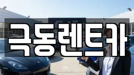 울산광역시 북구 신천동 렌트카 전문 극동렌트카
