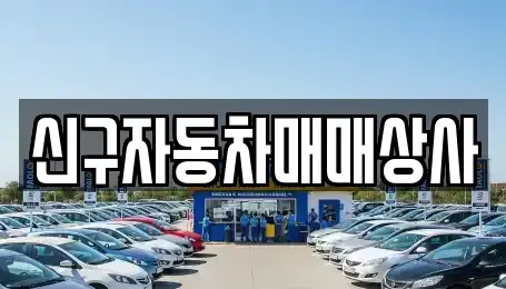 울산광역시 북구 신천동 중고차 전문 신구자동차매매상사