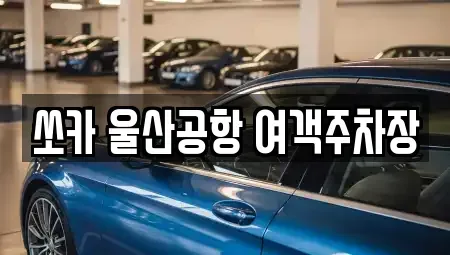 울산광역시 북구 창평동 렌트카 전문 쏘카 울산공항 여객주차장