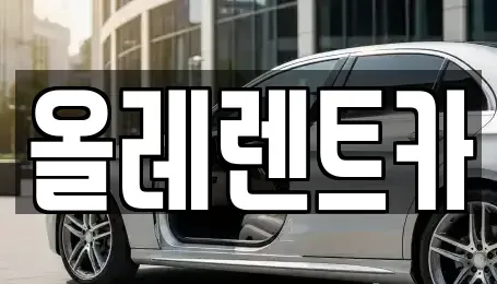 울산광역시 중구 동동 렌트카 전문 올레렌트카