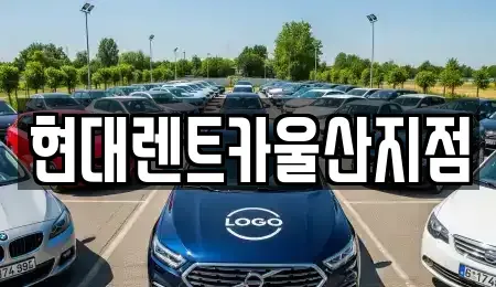 울산광역시 중구 동동 렌트카 전문 현대렌트카울산지점