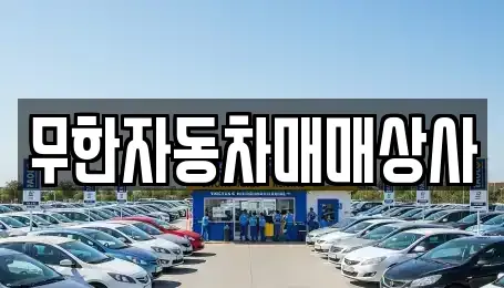 울산광역시 중구 동동 중고차매매 전문 무한자동차매매상사