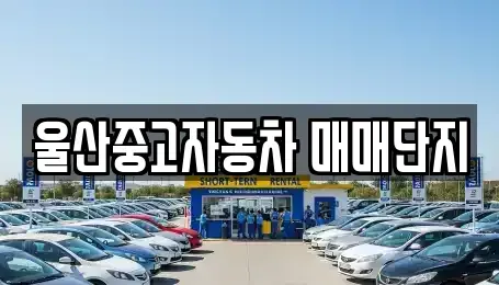 울산광역시 중구 동동 중고차매매 전문 울산중고자동차 매매단지