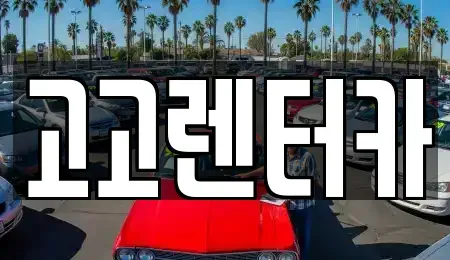인천 서구 석남동 장기렌트카 전문 고고렌터카