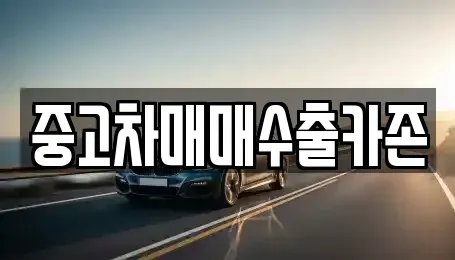 인천 서구 석남동 중고차 전문 중고차매매수출카존