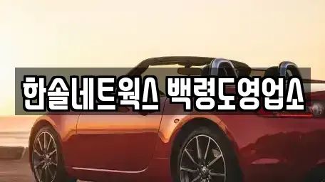 인천 옹진군 렌트카 전문 한솔네트웍스 백령도영업소