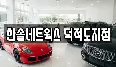 인천 옹진군 자월면 렌트카 전문 한솔네트웍스 덕적도지점