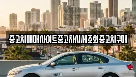 인천 옹진군 중고차매매 전문 중고차매매사이트중고차시세조회중고차구매