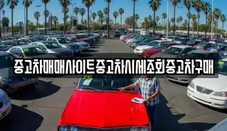 인천 중구 송월동2가 중고차매매 전문 중고차매매사이트중고차시세조회중고차구매