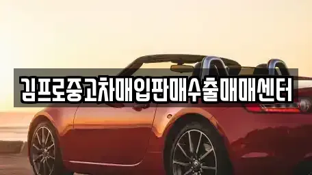 인천 중구 해안동3가 중고차매입 전문 김프로중고차매입판매수출매매센터