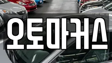 인천광역시 남동구 장수동 단기렌트카 전문 오토마커스
