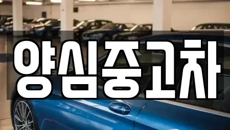 인천광역시 남동구 장수동 중고차 전문 양심중고차