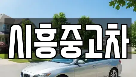 인천광역시 남동구 장수동 중고차매매 전문 시흥중고차