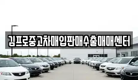 인천광역시 남동구 장수동 중고차매입 전문 김프로중고차매입판매수출매매센터