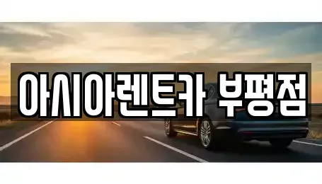 인천광역시 부평구 청천동 렌트카 전문 아시아렌트카 부평점