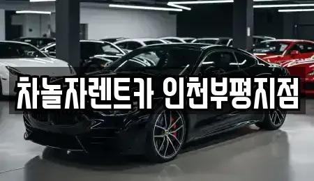 인천광역시 부평구 청천동 장기렌트카 전문 차놀자렌트카 인천부평지점