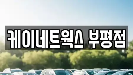 인천광역시 부평구 청천동 장기렌트카 전문 케이네트웍스 부평점