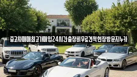 인천광역시 부평구 청천동 중고차매입 전문 중고차매매최고가매입24시간출장비무료견적현장방문지누카