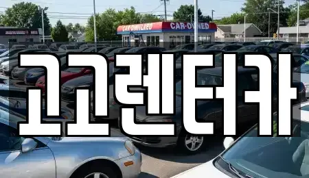 인천광역시 서구 청라동 장기렌트카 전문 고고렌터카