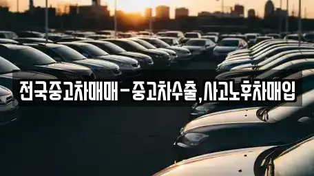 인천광역시 서구 청라동 중고차매입 전문 전국중고차매매-중고차수출,사고노후차매입