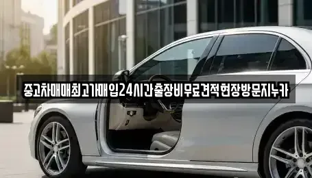 인천광역시 서구 청라동 중고차매입 전문 중고차매매최고가매입24시간출장비무료견적현장방문지누카
