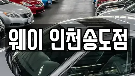 인천광역시 연수구 송도동 단기렌트카 전문 웨이 인천송도점