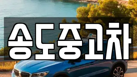 인천광역시 연수구 송도동 중고차매매 전문 송도중고차
