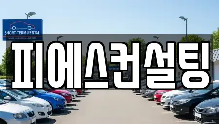 인천광역시 중구 신흥동3가 렌트카 전문 피에스컨설팅