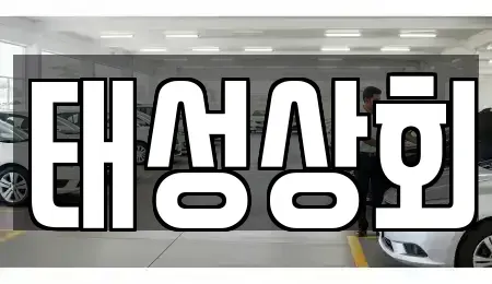 인천광역시 중구 신흥동3가 중고차 전문 태성상회