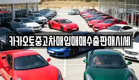 인천광역시 중구 해안동2가 중고차매입 전문 카카오토중고차매입매매수출판매시세
