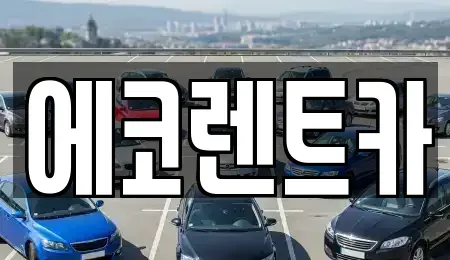 전남 나주시 남평읍 렌트카 전문 에코렌트카
