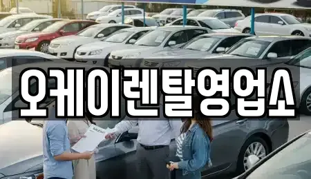 전남 무안군 현경면 렌트카 전문 오케이렌탈영업소