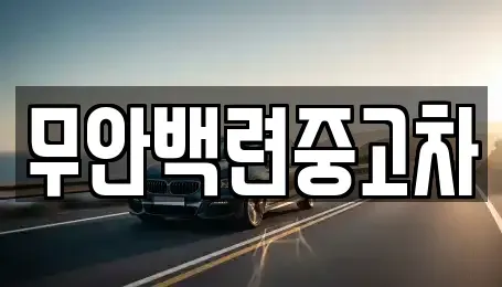 전남 무안군 현경면 중고차매매 전문 무안백련중고차