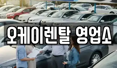 전남 보성군 렌트카 전문 오케이렌탈 영업소