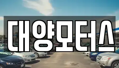 전남 보성군 율어면 중고차 전문 대양모터스