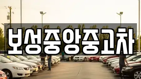 전남 보성군 중고차매매,단기렌트카,중고차매입,장기렌트카,중고차,렌트카