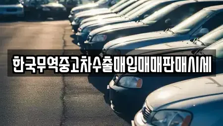 전남 보성군 중고차매매 전문 한국무역중고차수출매입매매판매시세