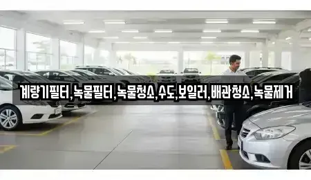 전남 순천시 상사면 렌트카 전문 계량기필터,녹물필터,녹물청소,수도,보일러,배관청소,녹물제거