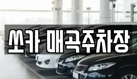 전남 순천시 상사면 렌트카 전문 쏘카 매곡주차장