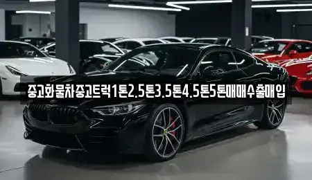 전남 여수시 덕충동 중고차 전문 중고화물차중고트럭1톤2.5톤3.5톤4.5톤5톤매매수출매입